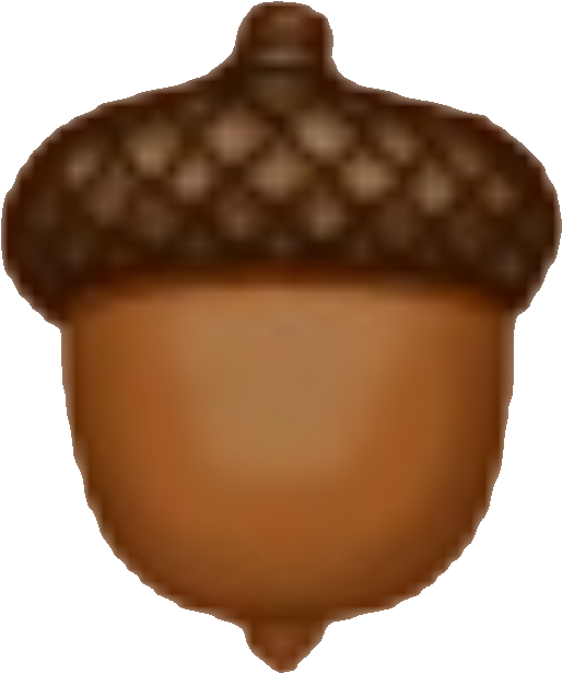 Acorn - Chocolate (553x644), Png Download