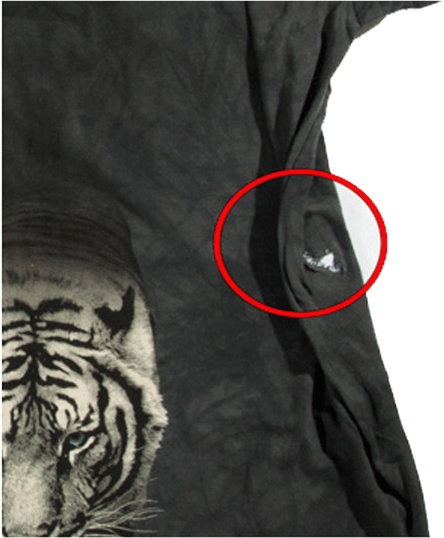 Футболка С Дефектом White Tiger Stripe - Siberian Tiger (1100x802), Png Download