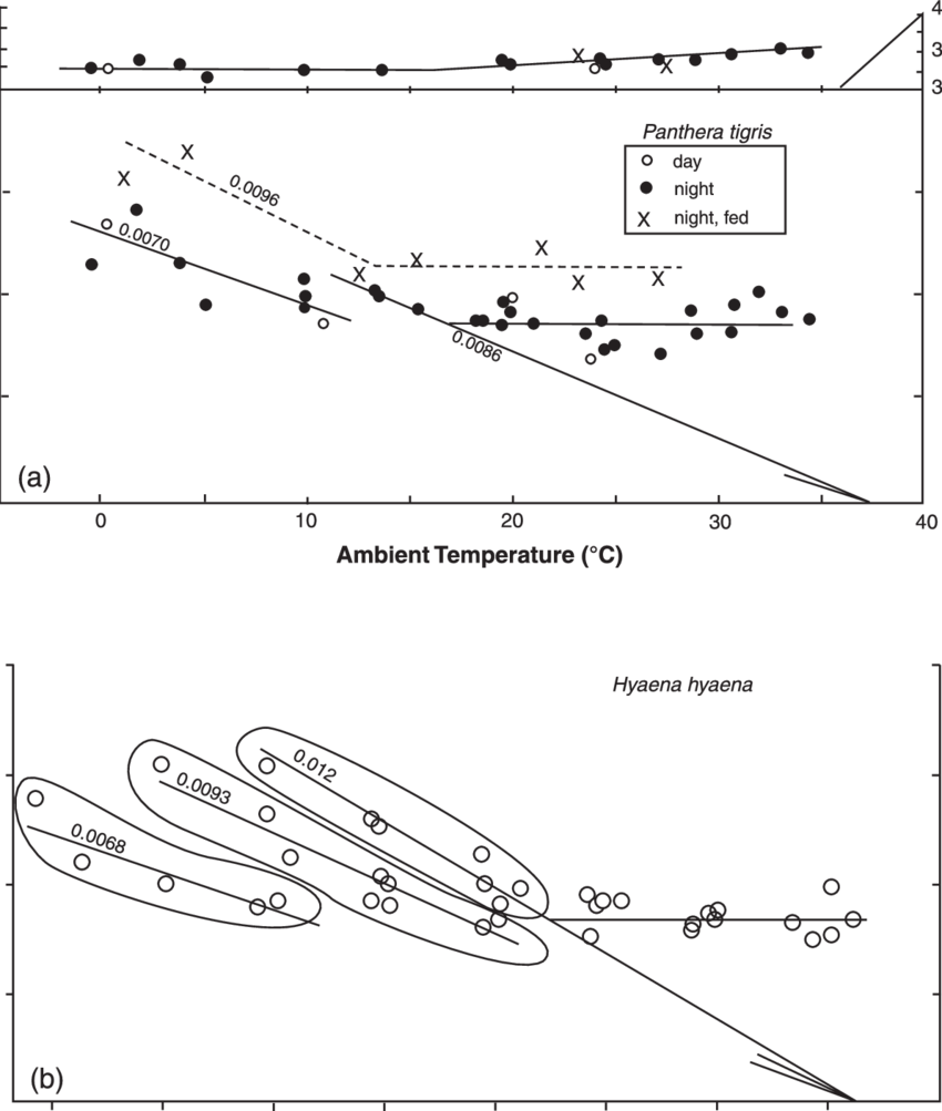 Rate Of Metabolism And Body Temperature As A Function - Diagram (850x1003), Png Download