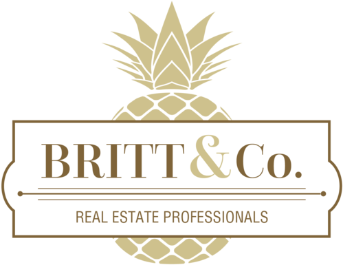 Britt & Co - Pineapple (700x560), Png Download