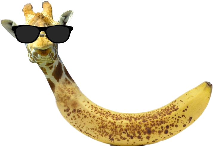 Registered User - Bananas Best To Eat (720x504), Png Download