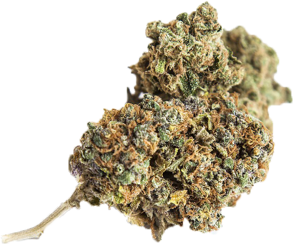 Download Weed Nugget Png PNG Image with No Background - PNGkey.com