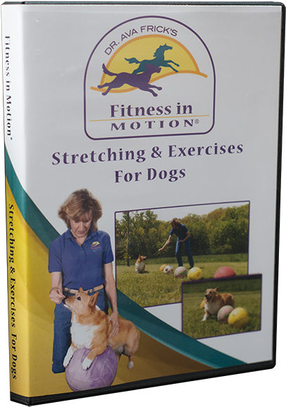 Stretching - Rabbit (500x700), Png Download