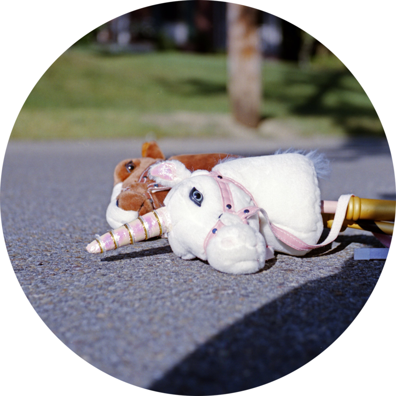 Corny - Stuffed Toy (800x800), Png Download