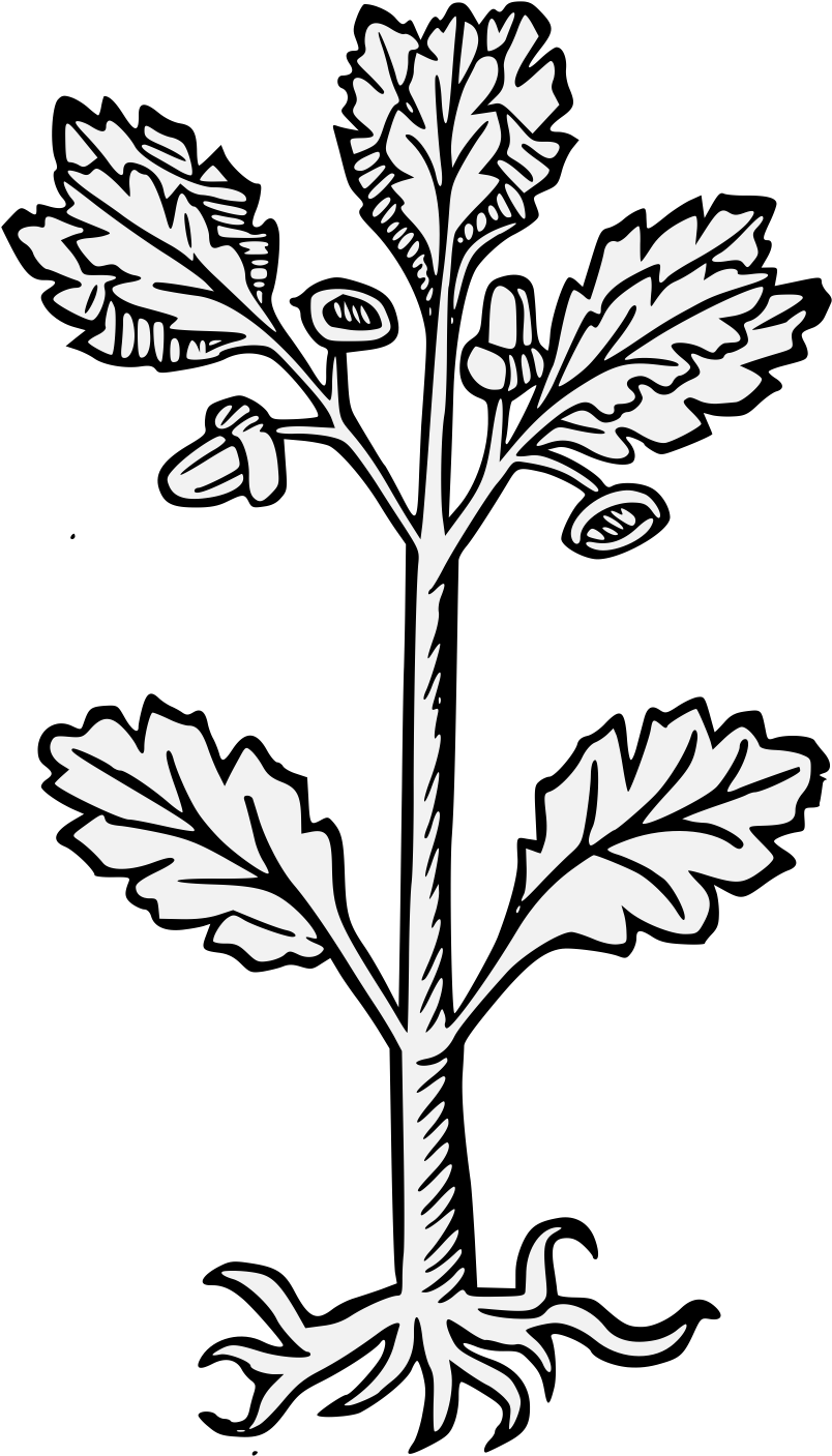 Details, Png (843x1424), Png Download