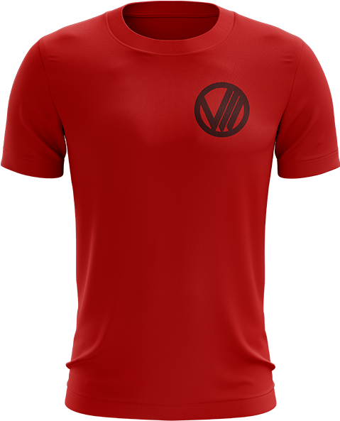 Vvv Gaming Icon Tee - G2 Esports Jersey (520x600), Png Download