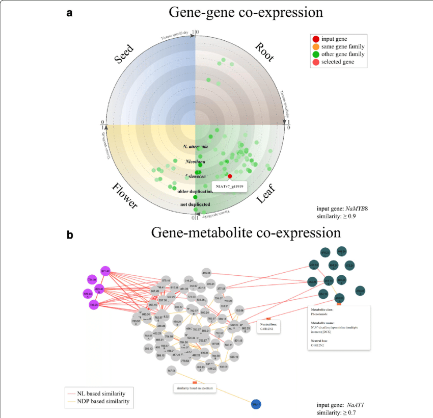 Examples Of Visualization On Co Expressed Genes And - Modelos De Máscara De Carnaval (850x820), Png Download