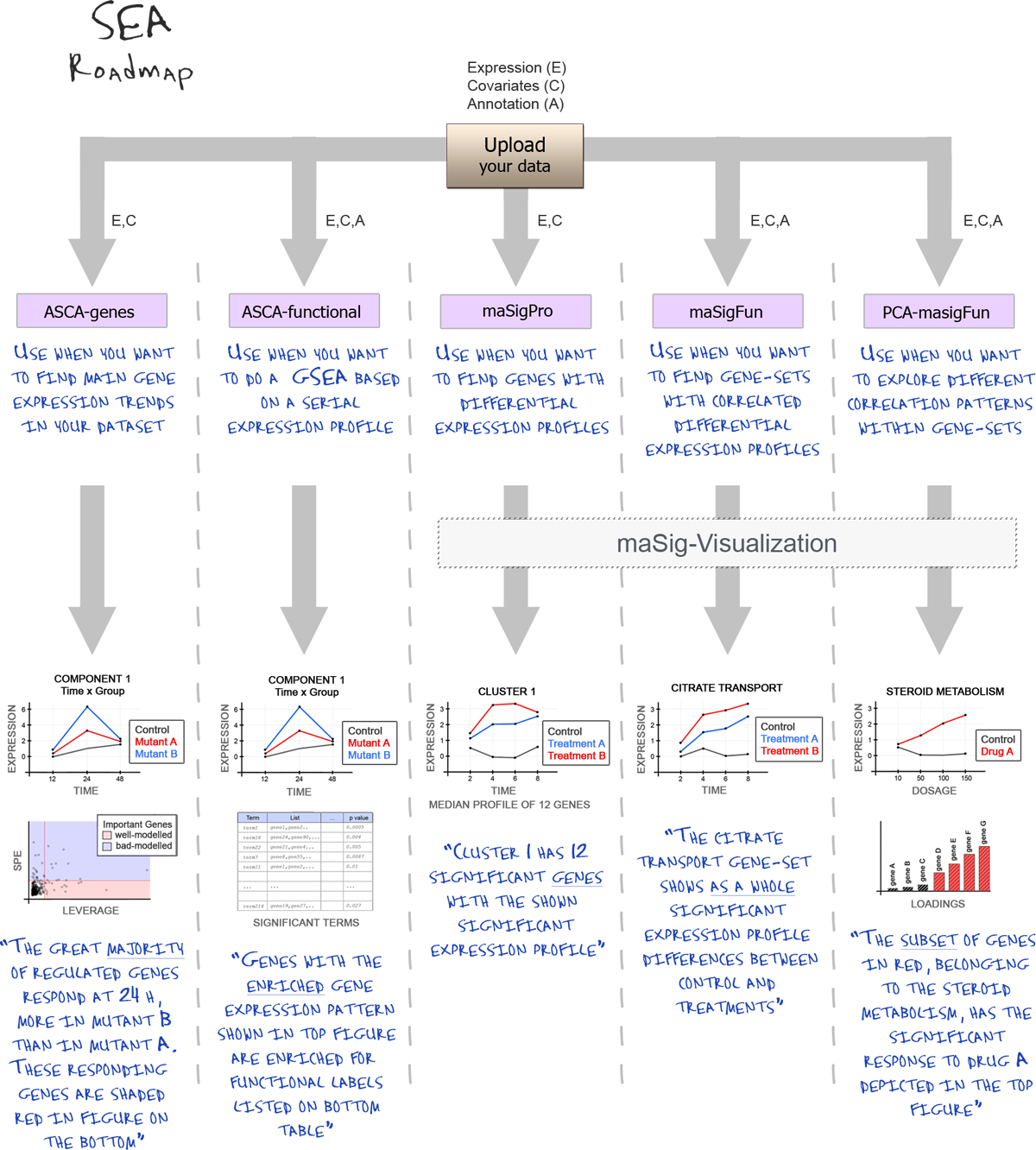 The Site Offers Five Different Methodologies For The - Diagram (1200x1332), Png Download