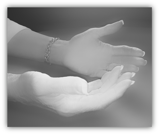 Both Hands - Holding Hands (664x567), Png Download