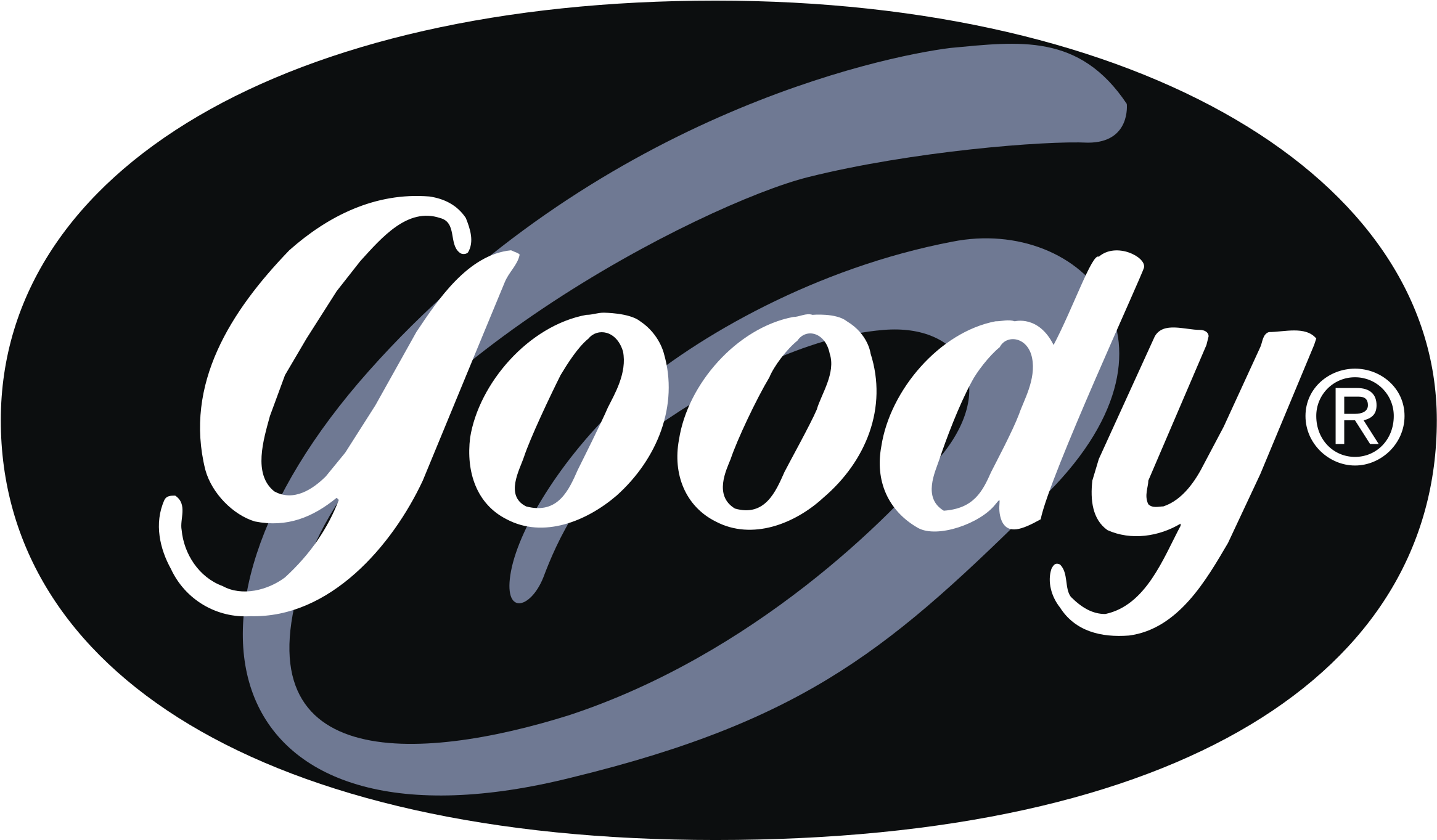 Goody Logo Png Transparent - Goody Logo (2400x2400), Png Download
