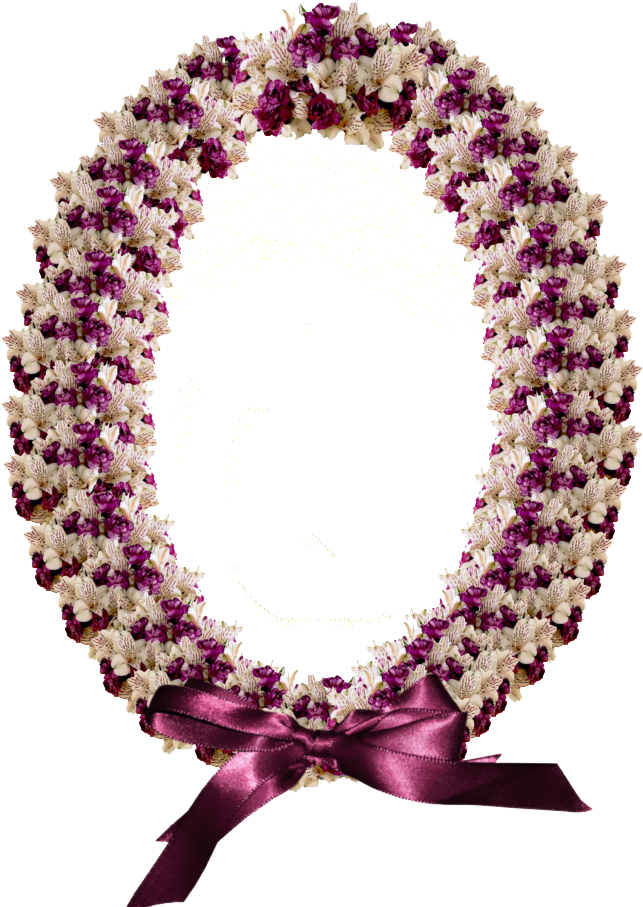 Circle (800x950), Png Download