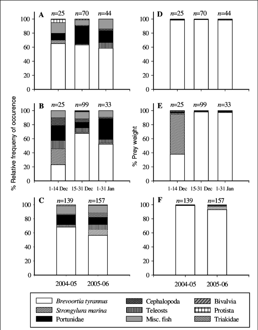 Stomach Content Composition Of Giant Atlantic Bluefin - Number (850x1088), Png Download