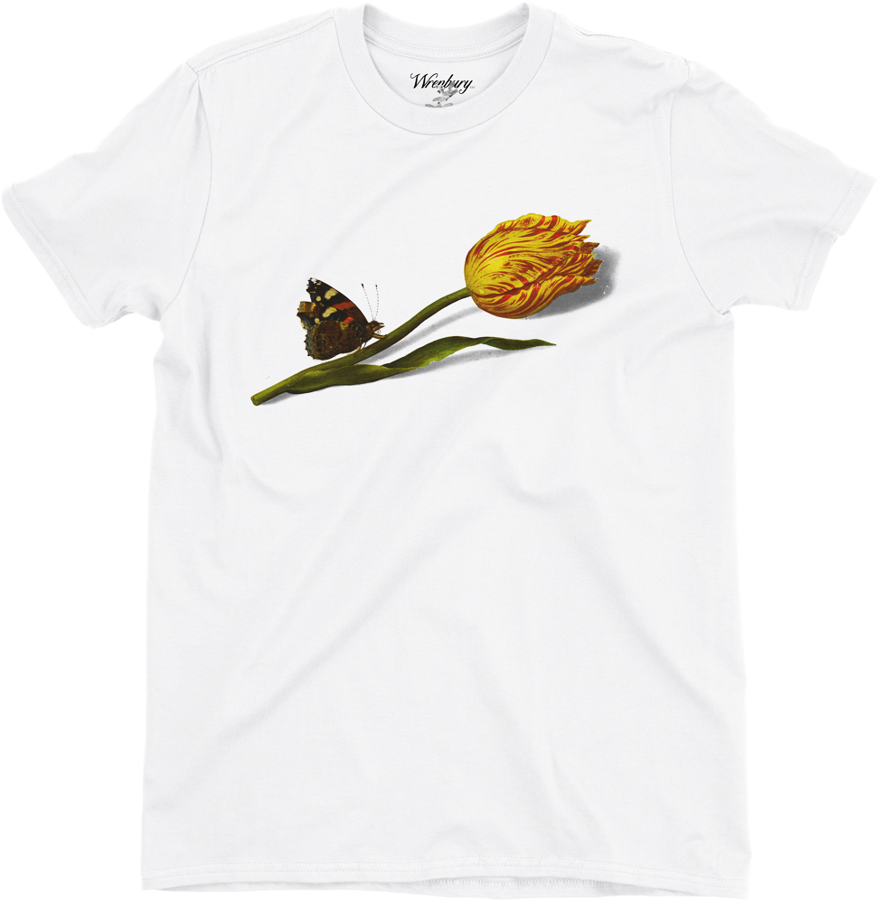 Solace Tee - Brown Thrasher (1000x1000), Png Download