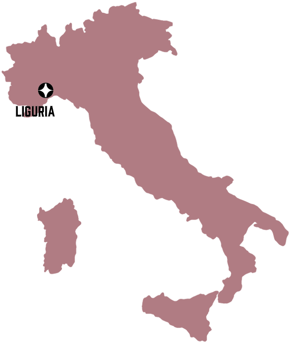 The Luciano Family - Italy Map Shape (703x703), Png Download