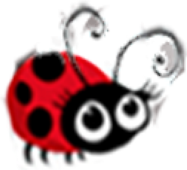 Ladybug (645x645), Png Download