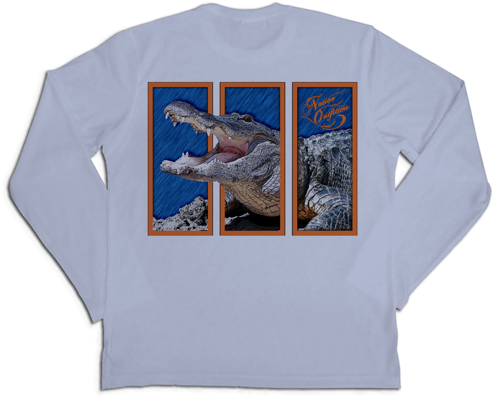 Whale Shark (1024x1024), Png Download