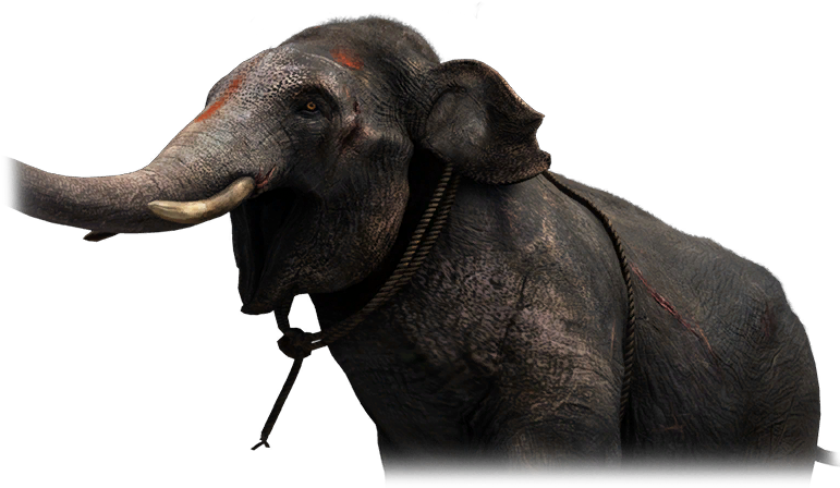 Thick Skin - Water Buffalo (800x460), Png Download