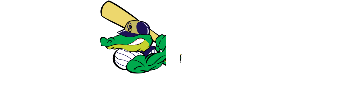 Gatorball Baseball Academy (1234x350), Png Download