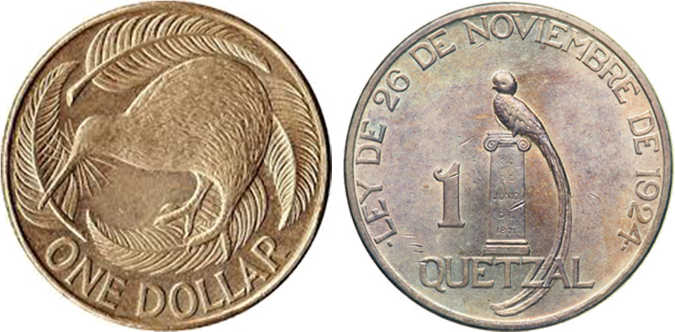 A Kiwi And A Quetzal - New Zealand (1000x500), Png Download