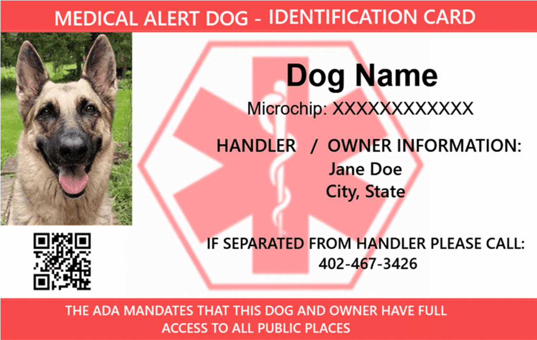 Service Dog (1100x1100), Png Download