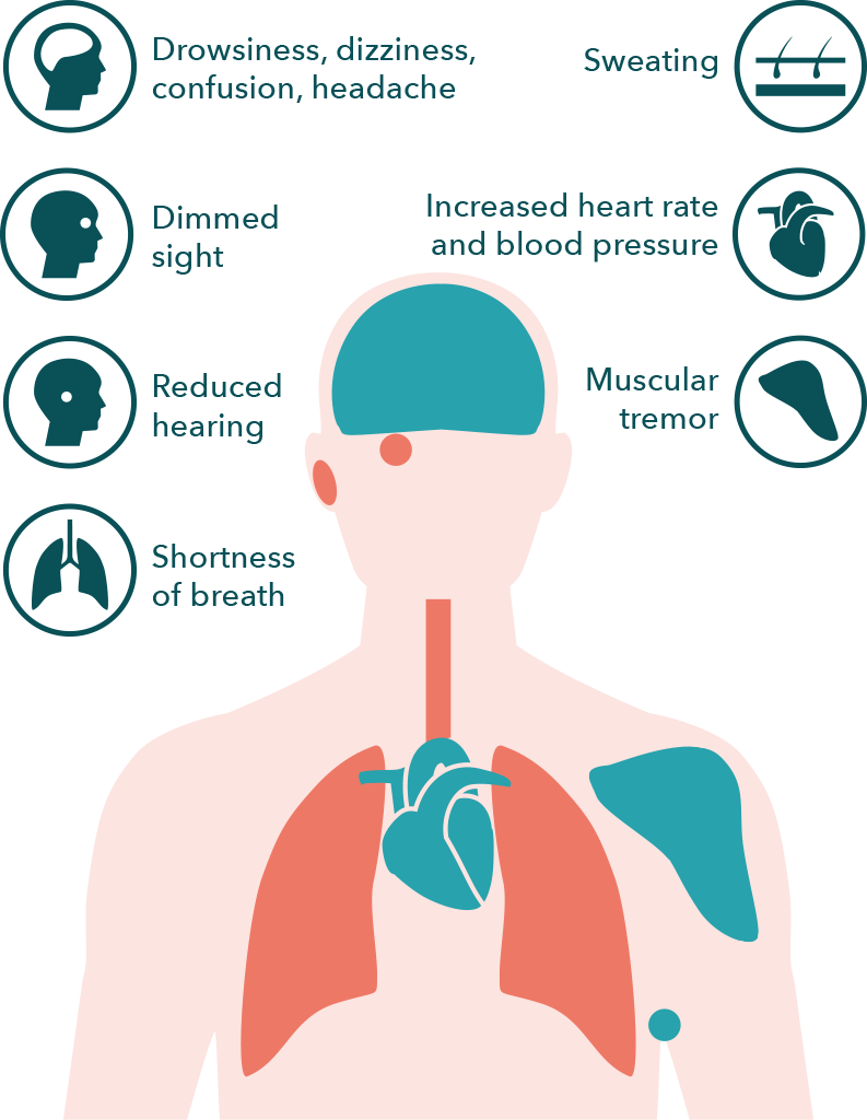 What Are The Effects Of Co2 - Effects Of Co2 (793x1024), Png Download