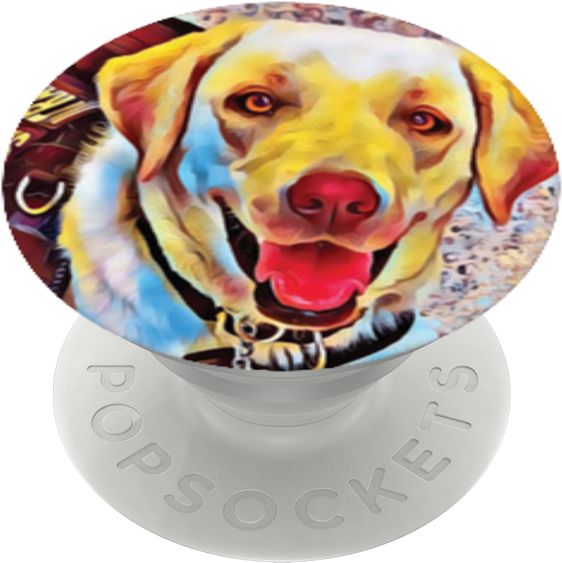 Bobbi The Service Dog, (989x1000), Png Download