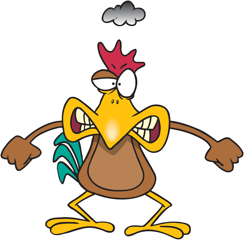 Is That Rotting Chicken I Smell - Mad Chicken Png (800x787), Png Download