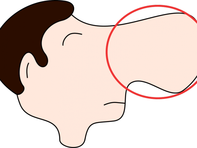 Nose Clipart Nose Smell - Big Nose Clipart (640x480), Png Download