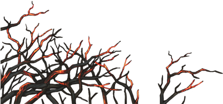 Twig (640x500), Png Download