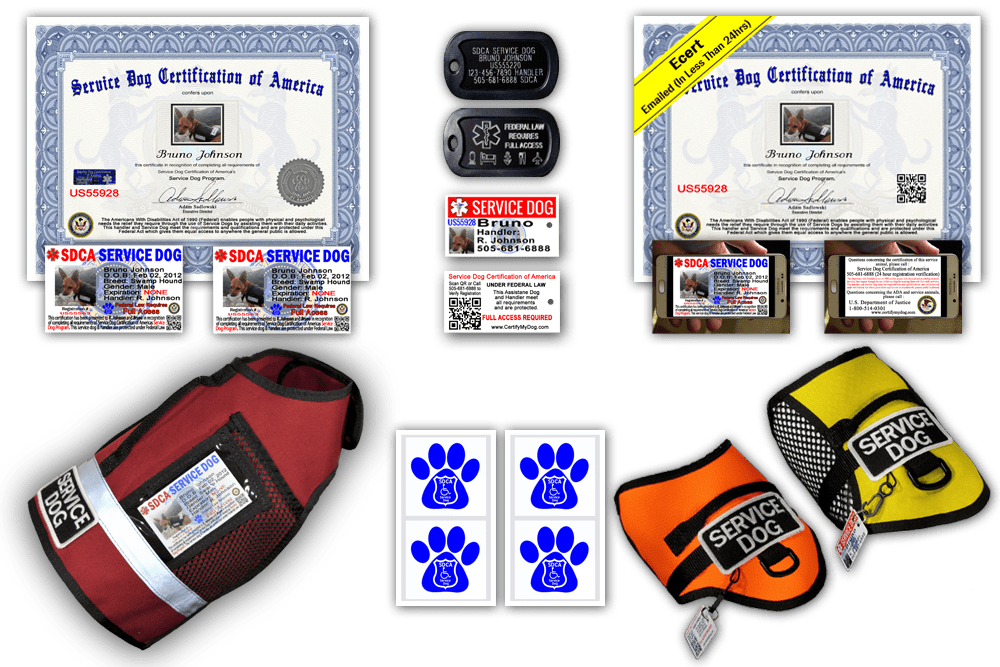 Standard Service Dog Pkg - Poker (1000x667), Png Download