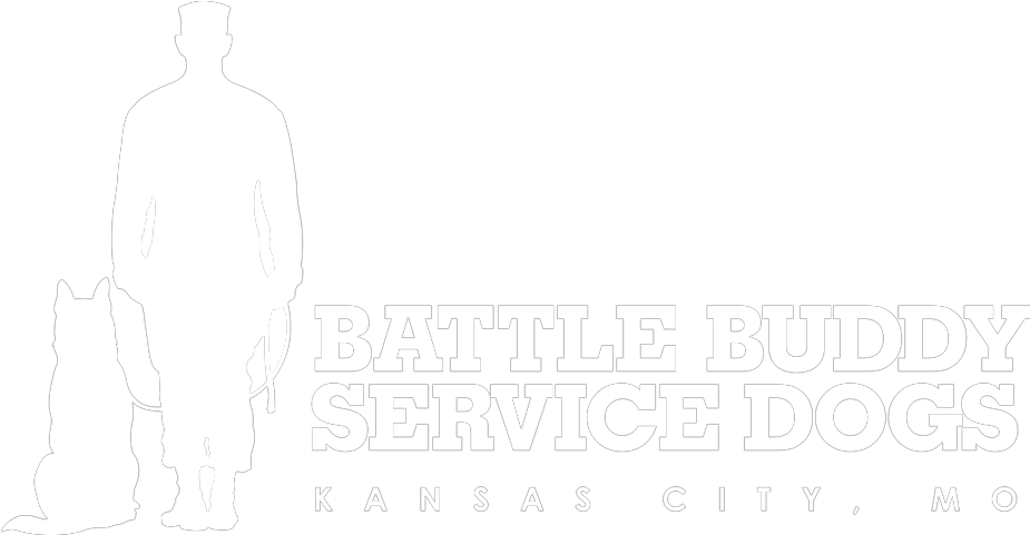 2012 World Series (950x494), Png Download