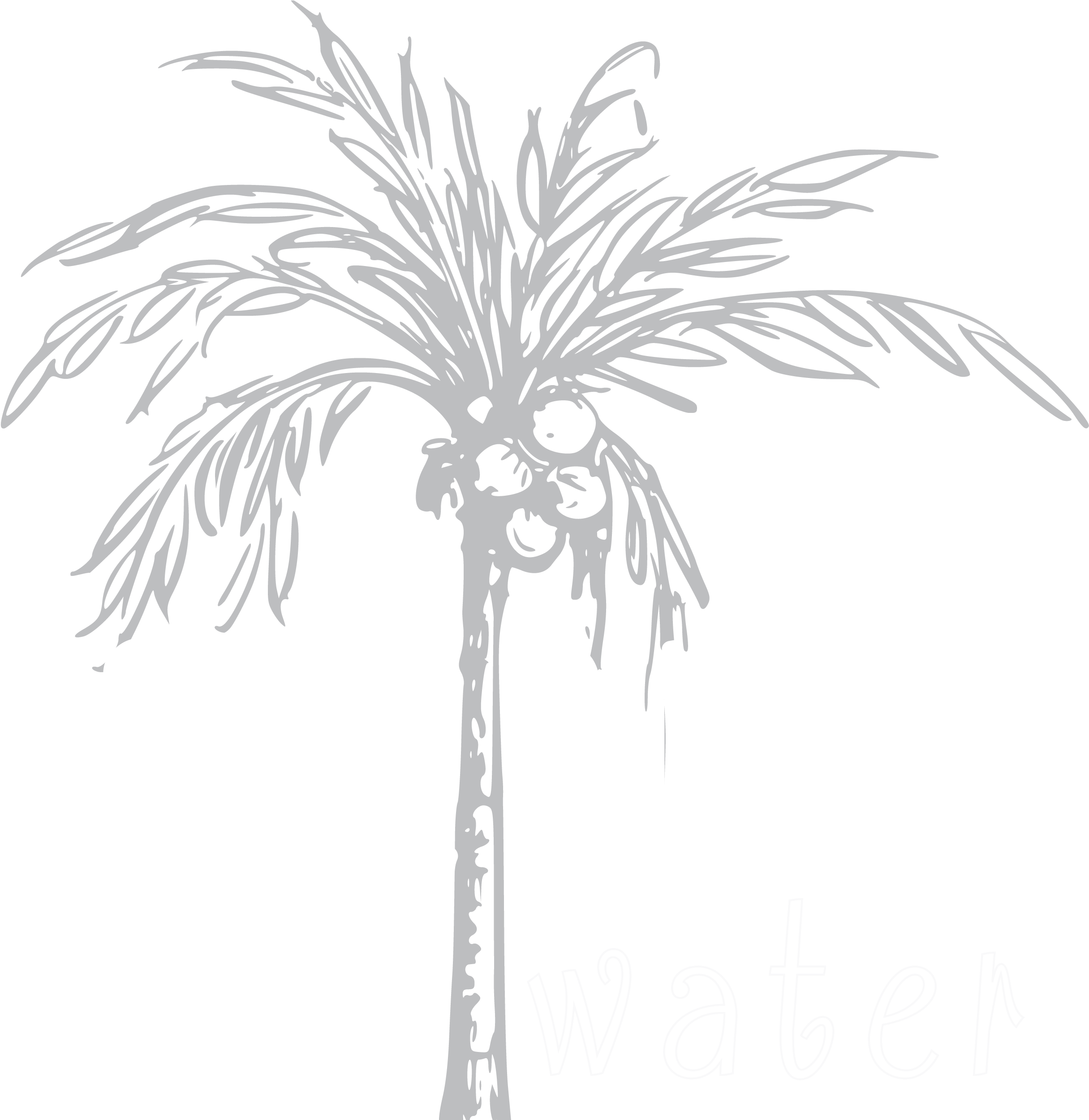 Fat Free, Cholesterol Free And Low In Calories, Cocunut - Illustration (2500x2500), Png Download