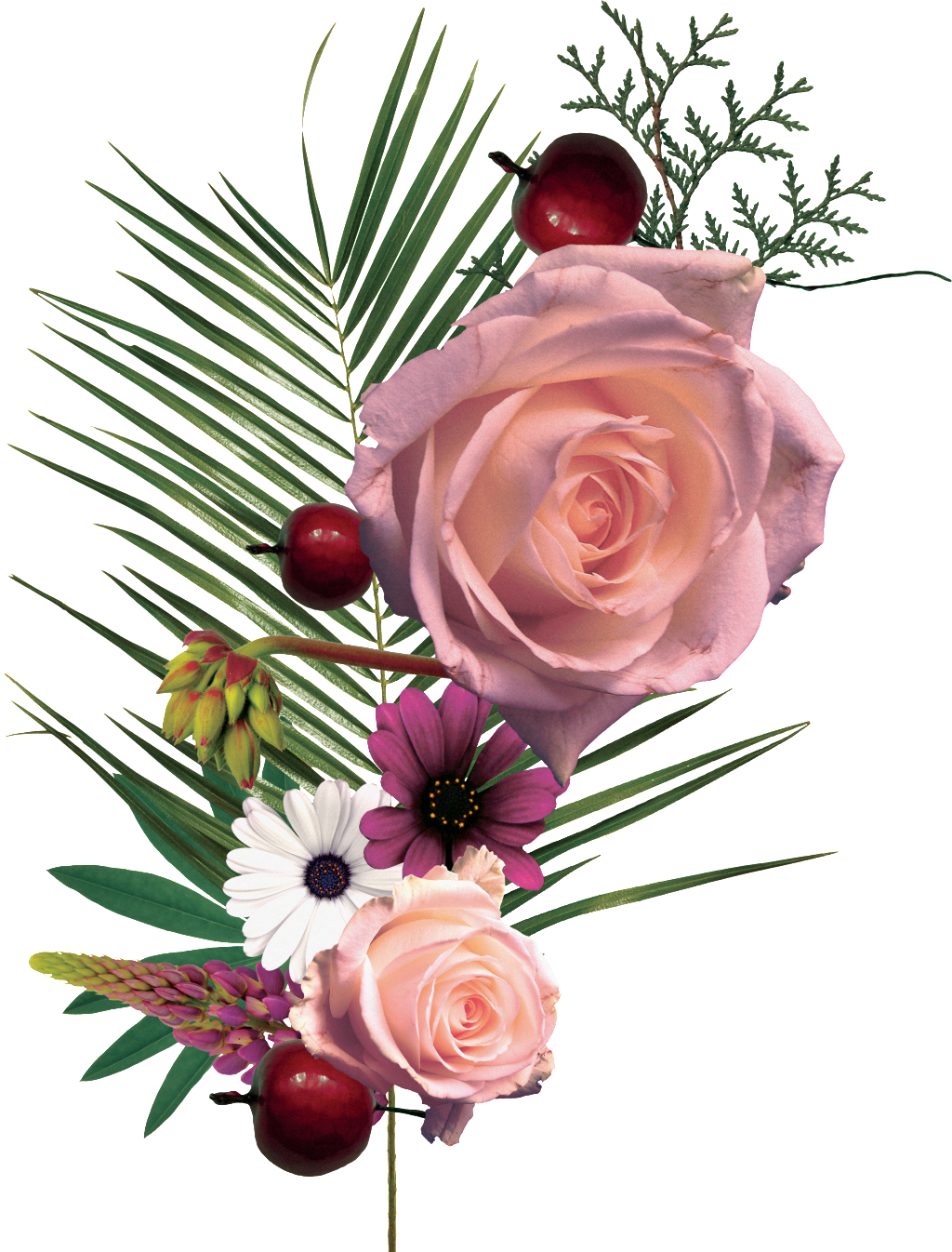 Hand Painted Gestures Diverse Flowers Png Transparent - Garden Roses (1024x1346), Png Download