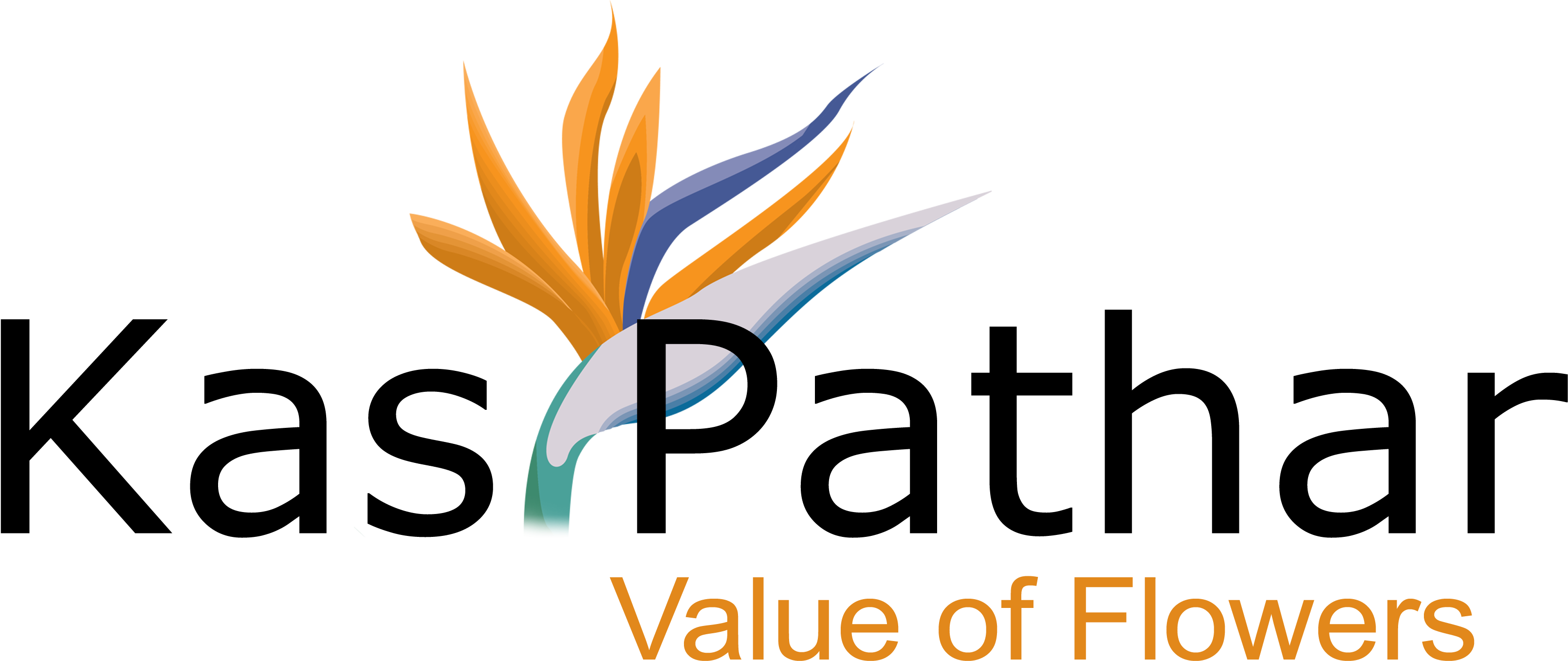 Money Movers (3600x1573), Png Download