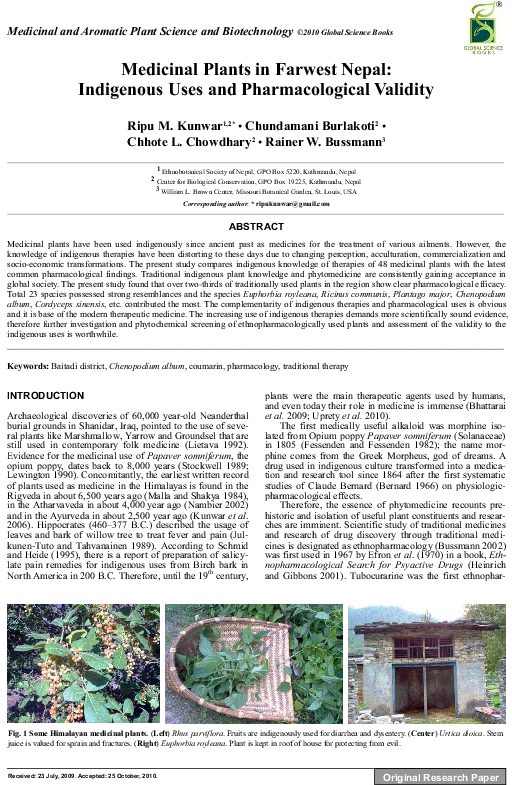 Pdf - Folio Thirteen From Burchard Of Sion's De Locis Ac (595x842), Png Download