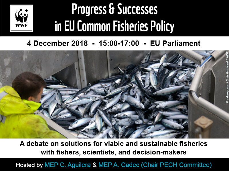 27 Nov - Fish Products (800x600), Png Download