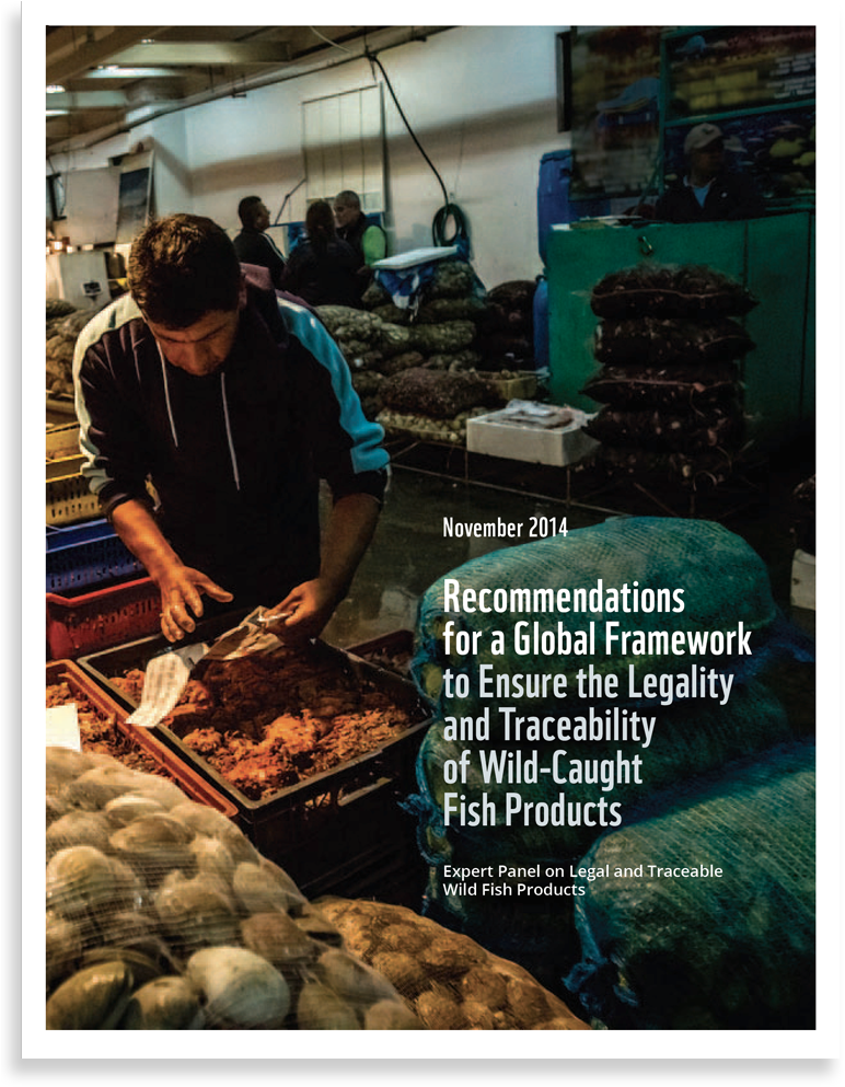 Cover - Mussel (1500x1020), Png Download