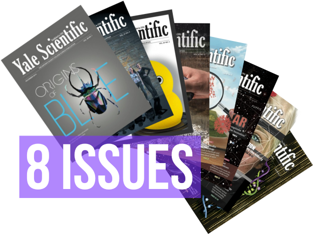 1-year Print - Flyer (713x505), Png Download