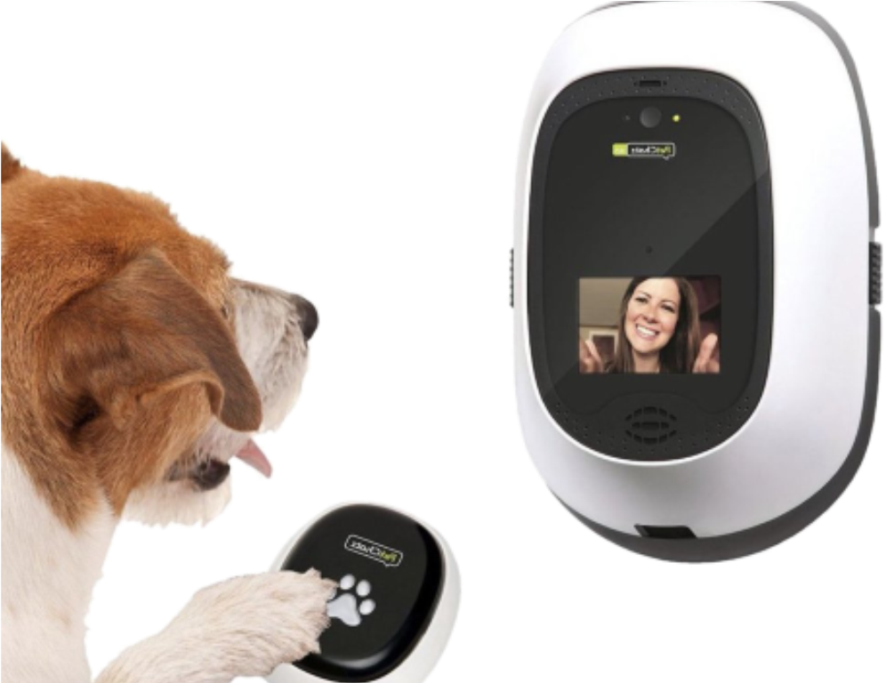 Shiny New Gadget Of The Month - Petchatz (1024x767), Png Download