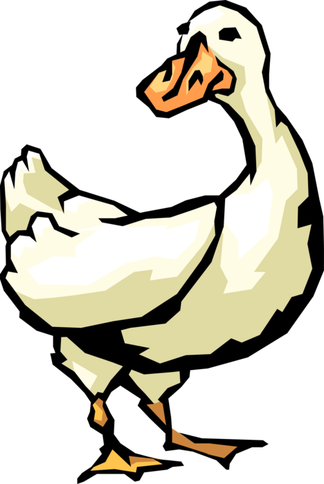 Vector Illustration Of White Waterfowl Duck Bird - Duck (468x700), Png Download