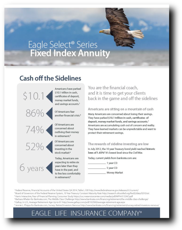 Eagle Life Sales Tools - Hawk (604x742), Png Download