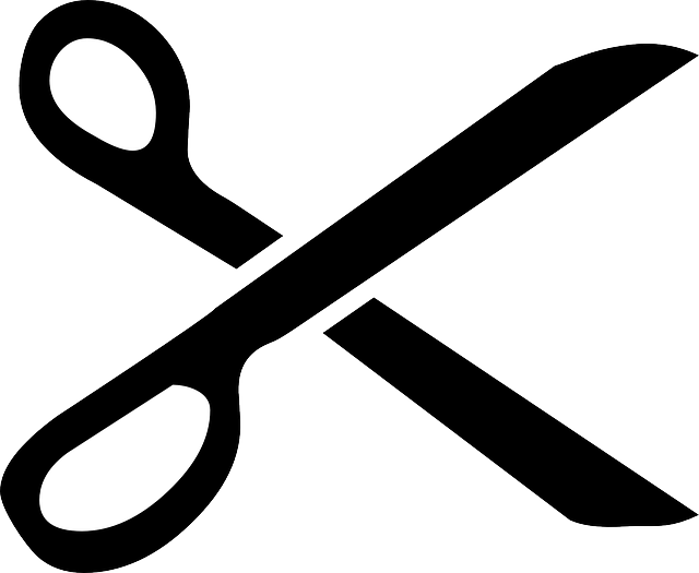 Scissors Cutting Paper Png - Scissors Free Vector (640x525), Png Download