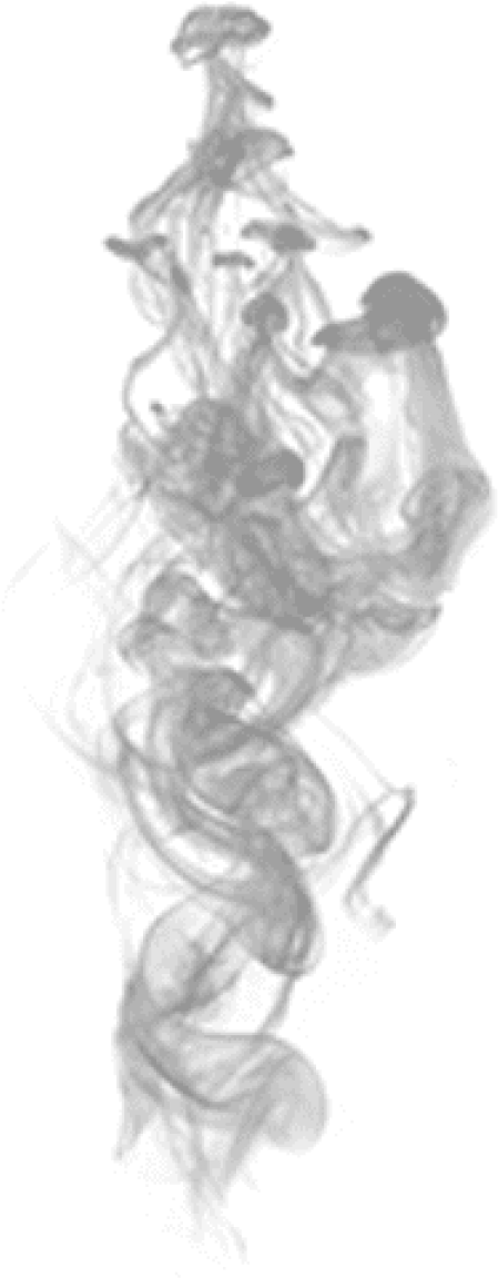 Free Png Download Picsart Smoke Effect Png Images Background - Picsart Up In Smoke Png (480x1155), Png Download