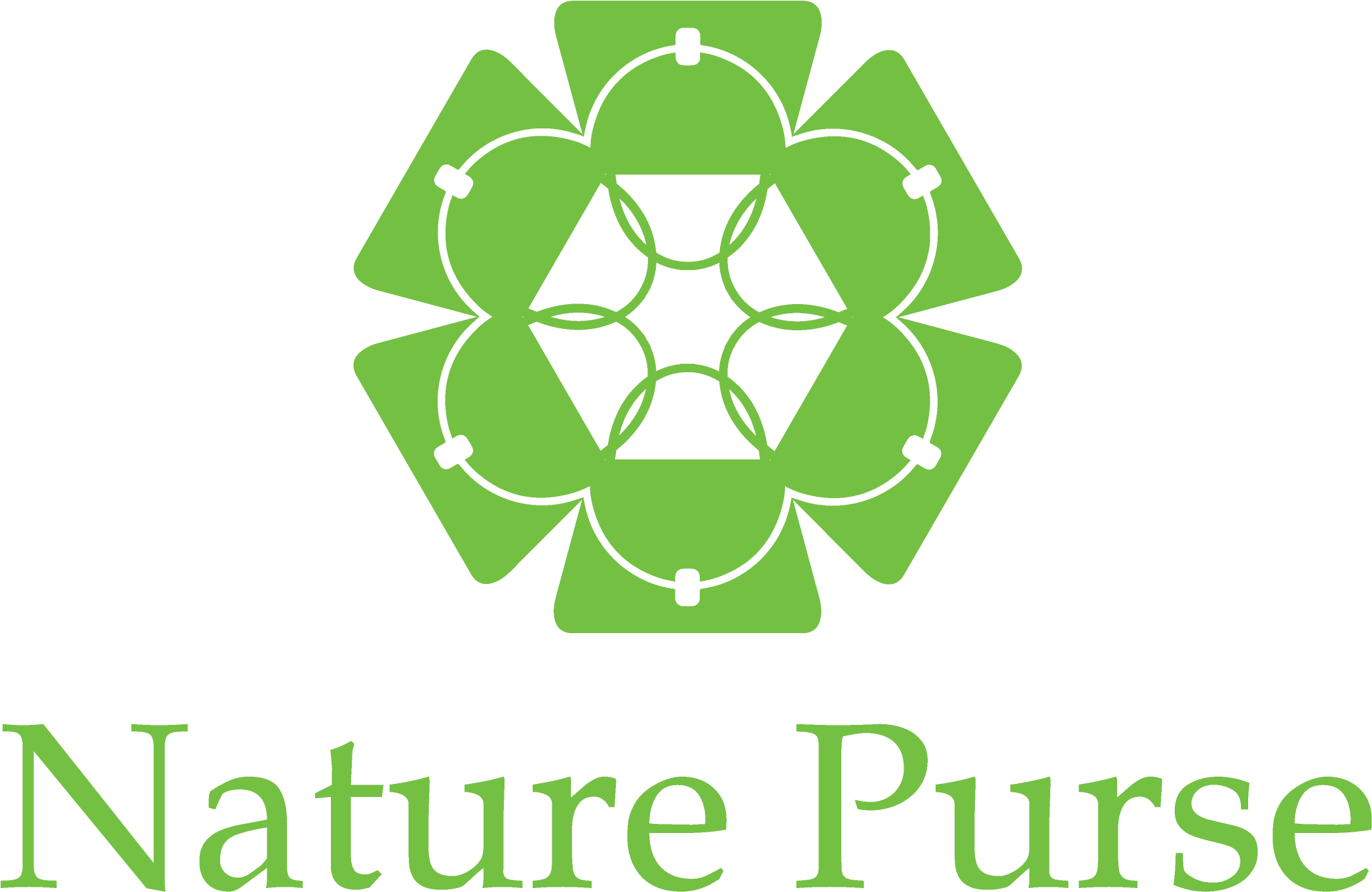 C Handicraft Bag - Information Professionals Inc (2171x1624), Png Download