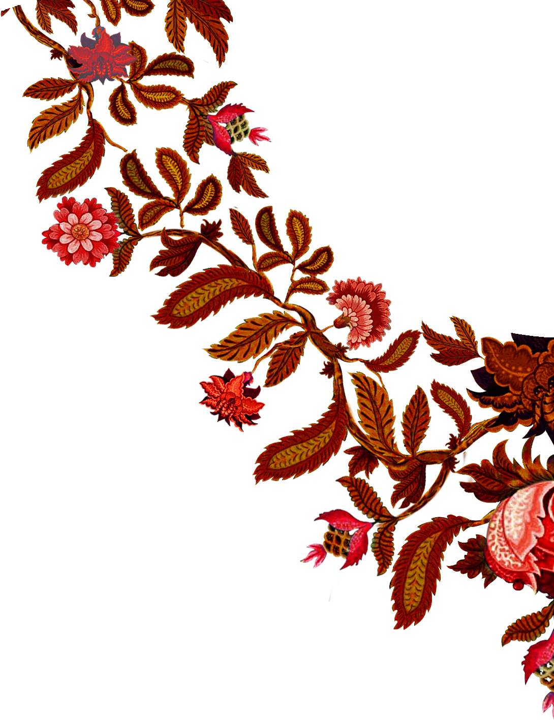 By Sohu India On (1090x1417), Png Download