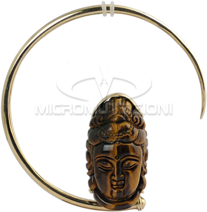 Large Brass Hoops With Tiger Eyes Shiva Mask Brass - Painted Turtle (750x750), Png Download