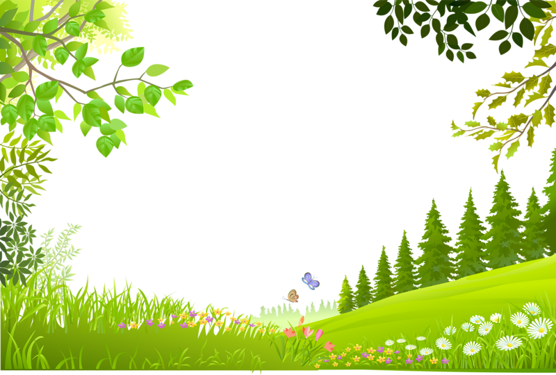 Plants Nature Material Trees Green Grass Cartoon Clipart - Green Grass Background Clipart (800x540), Png Download
