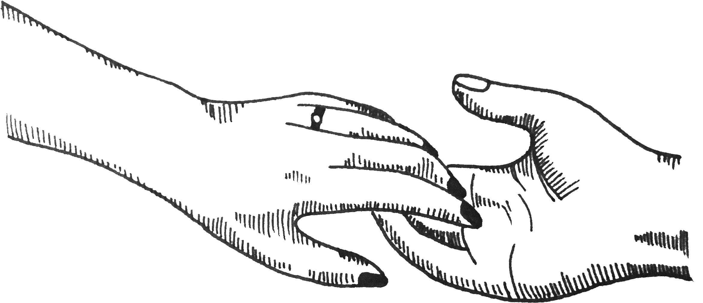 As Seen In - Sketch (2539x1428), Png Download