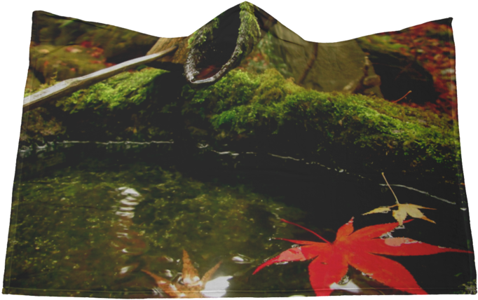 蹲踞に入っている紅葉 Tsukubai With Momiji Leafe - Kyoto (700x700), Png Download
