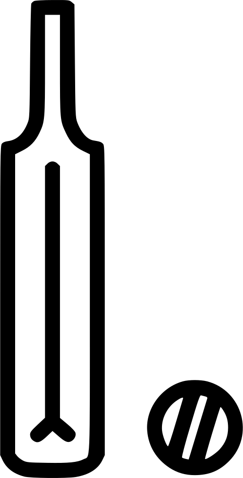 Cricket Ball Bat Equipment Batsman Comments (498x980), Png Download